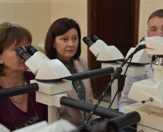 Abordarea modernă în diagnosticul tumorilor cerebrale